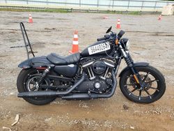 Harley-Davidson xl883 n salvage cars for sale: 2020 Harley-Davidson XL883 N