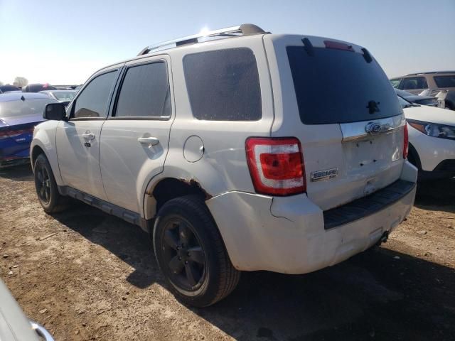 2010 Ford Escape Limited