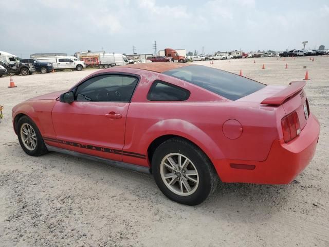 2005 Ford Mustang