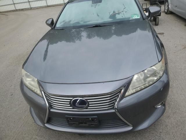 2013 Lexus ES 300H