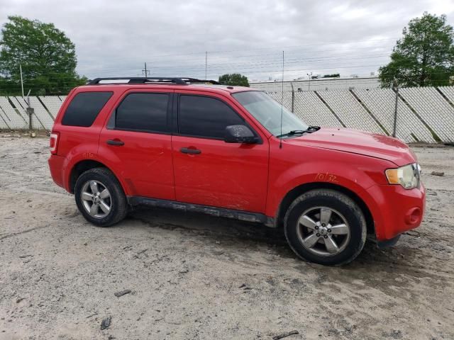 2009 Ford Escape XLT