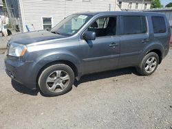 Salvage cars for sale from Copart York Haven, PA: 2013 Honda Pilot EX