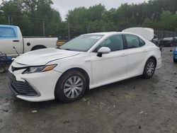 Toyota Camry le Vehiculos salvage en venta: 2021 Toyota Camry LE