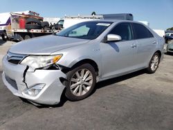 Vehiculos salvage en venta de Copart Hayward, CA: 2014 Toyota Camry Hybrid