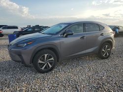 2019 Lexus NX 300 Base for sale in Temple, TX