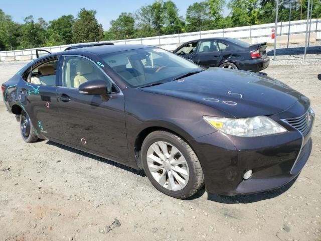 2013 Lexus ES 300H