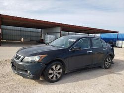 2008 Honda Accord EX for sale in Andrews, TX