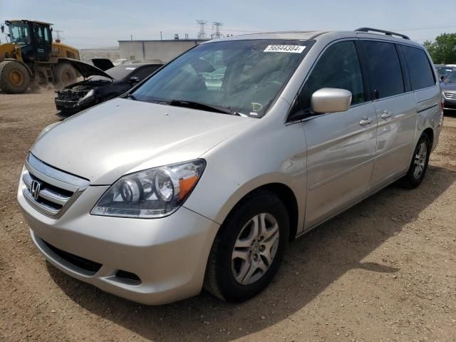 2005 Honda Odyssey EXL