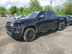 2023 Toyota Tundra Crewmax SR for sale in Marlboro, NY