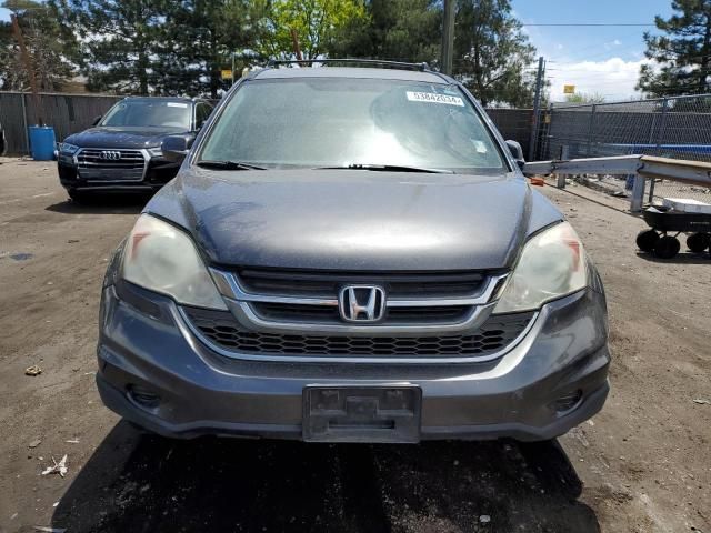 2010 Honda CR-V EXL