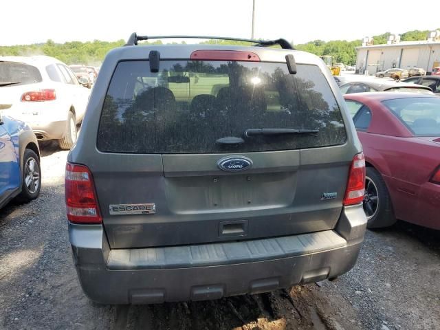 2011 Ford Escape XLT