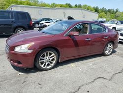 Nissan salvage cars for sale: 2009 Nissan Maxima S