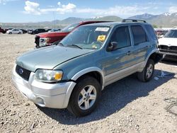Salvage cars for sale from Copart Magna, UT: 2007 Ford Escape HEV