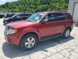 Ford salvage cars for sale: 2012 Ford Escape XLT