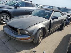 2005 Ford Mustang en venta en Wilmer, TX