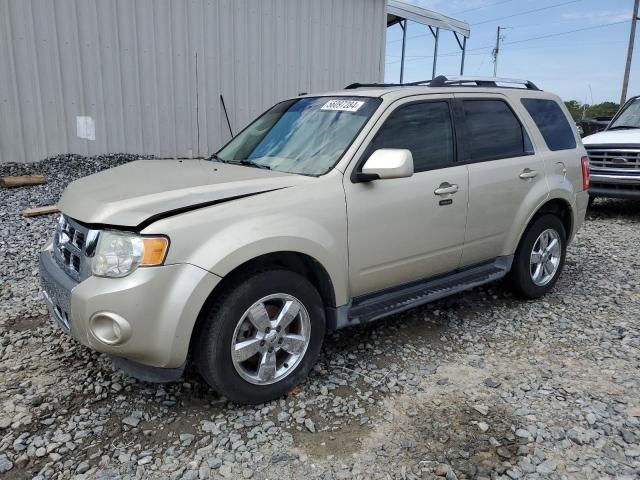 2011 Ford Escape Limited