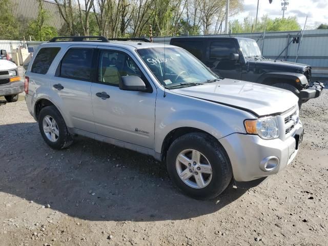 2008 Ford Escape Hybrid