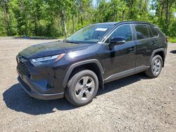 2024 Toyota Rav4 XLE for sale in Bowmanville, ON