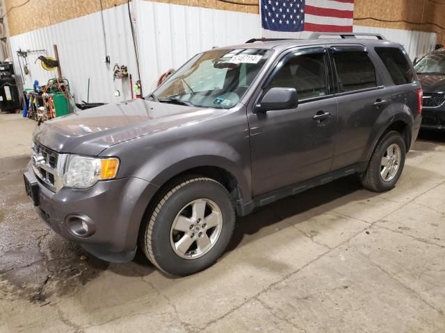 2011 Ford Escape XLT