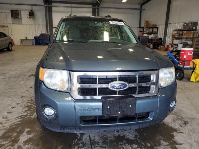 2010 Ford Escape XLT