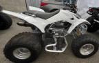 2008 Honda TRX250 EX