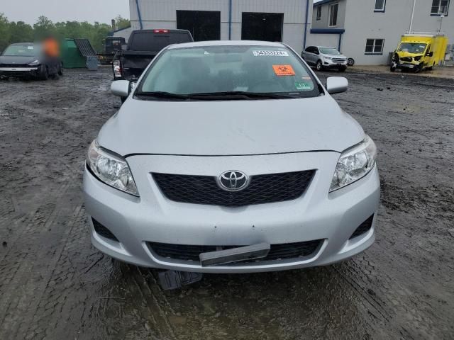 2010 Toyota Corolla Base