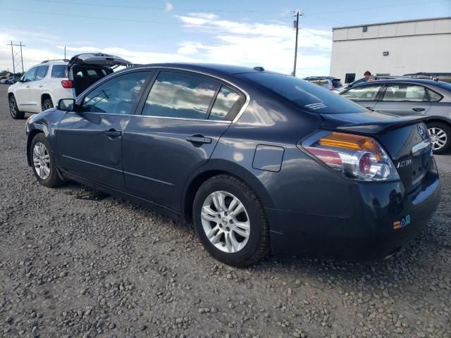 2010 Nissan Altima Base