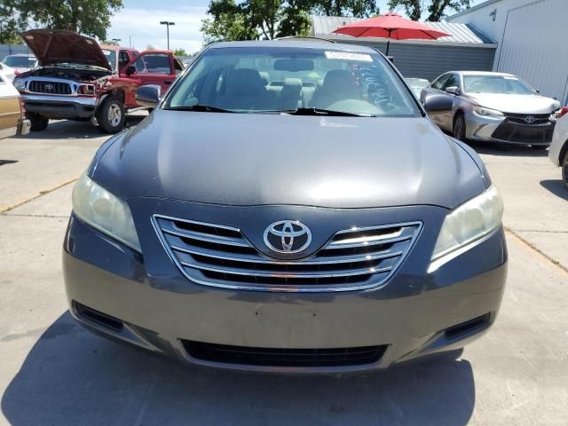 2009 Toyota Camry Hybrid