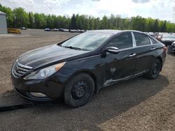 2011 Hyundai Sonata SE for sale in Bowmanville, ON
