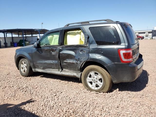 2009 Ford Escape XLT