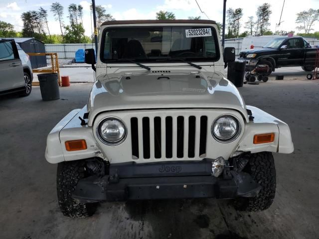 2002 Jeep Wrangler / TJ Sahara