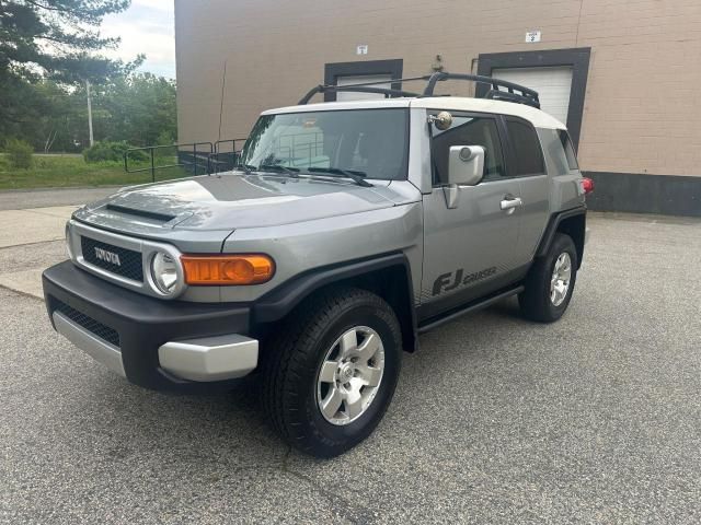 2010 Toyota FJ Cruiser