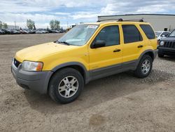 2001 Ford Escape XLT for sale in Rocky View County, AB