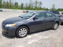 2009 Toyota Camry Hybrid for sale in Leroy, NY