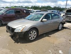 2007 Nissan Maxima SE for sale in Louisville, KY
