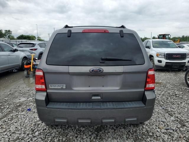 2010 Ford Escape XLT