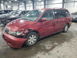 Honda salvage cars for sale: 2003 Honda Odyssey EXL