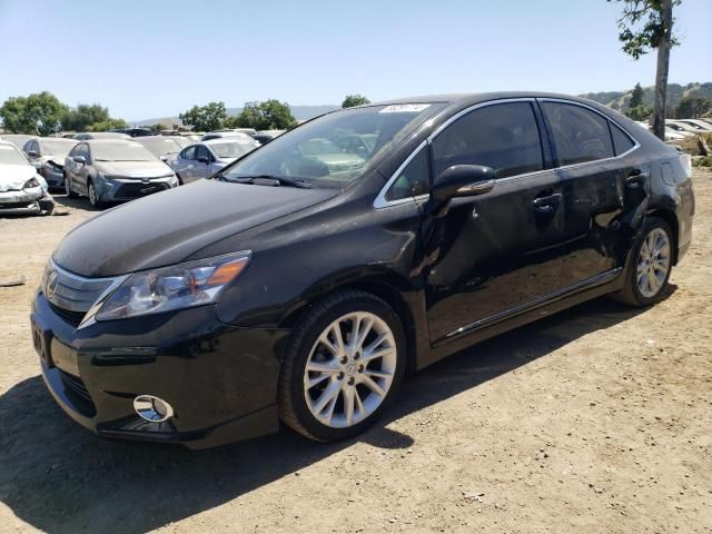 2010 Lexus HS 250H