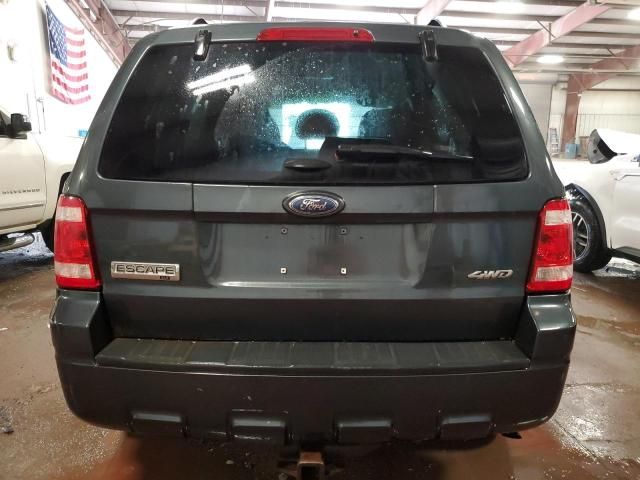 2008 Ford Escape XLT