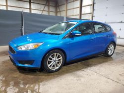 Ford Focus SE salvage cars for sale: 2016 Ford Focus SE