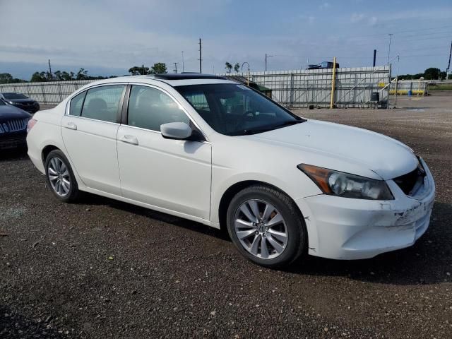 2011 Honda Accord EXL