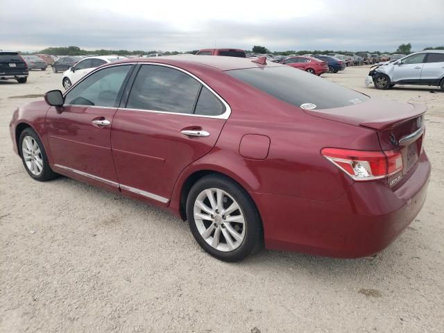 2010 Lexus ES 350