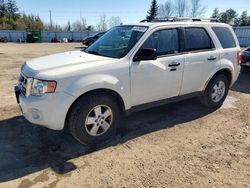 2011 Ford Escape XLT for sale in Bowmanville, ON