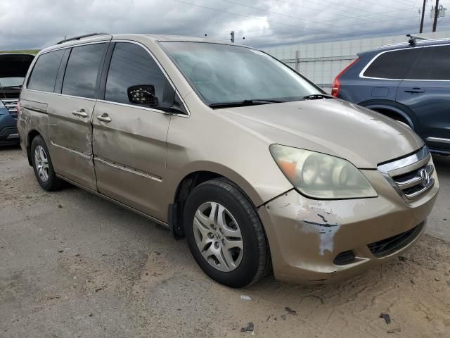 2005 Honda Odyssey EXL