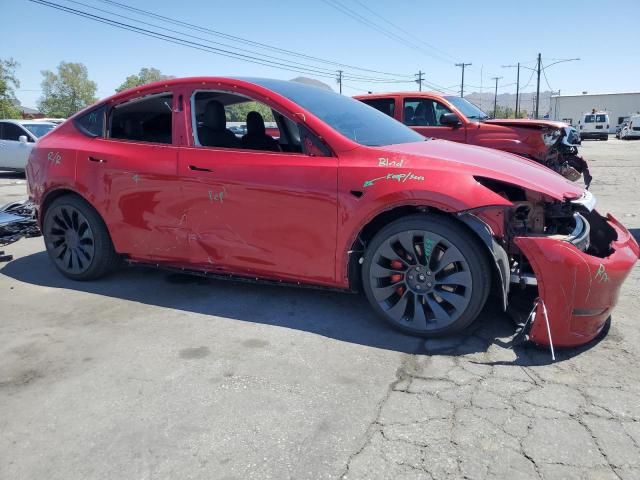 2022 Tesla Model Y