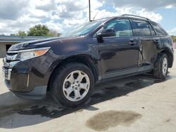 2013 Ford Edge SEL en venta en Orlando, FL