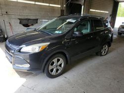 Ford Vehiculos salvage en venta: 2014 Ford Escape SE