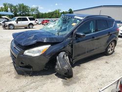 Ford salvage cars for sale: 2015 Ford Escape SE