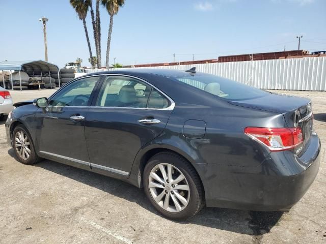 2010 Lexus ES 350