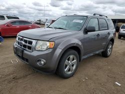 Ford salvage cars for sale: 2009 Ford Escape XLT